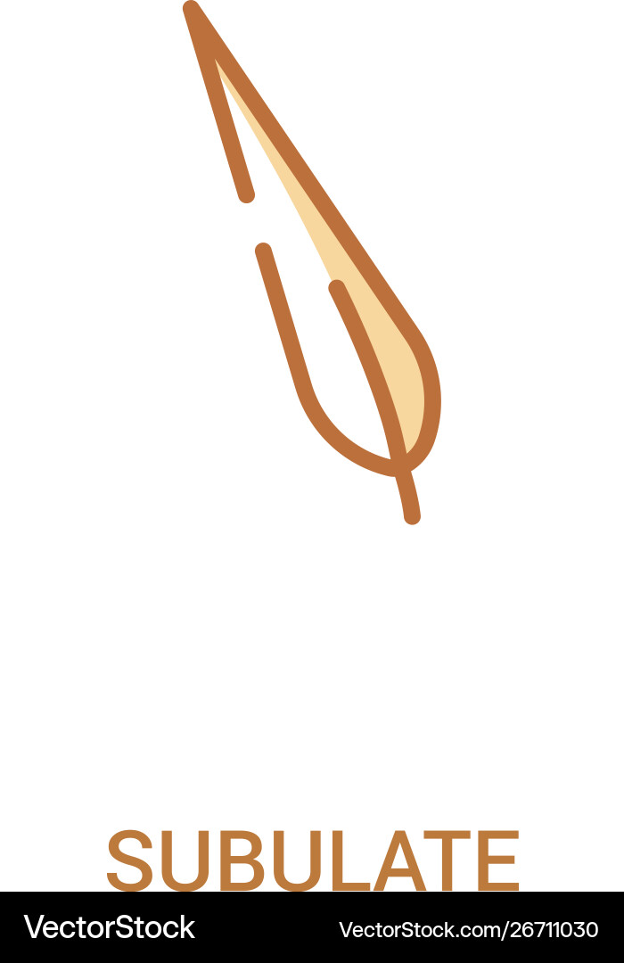Subulate concept 2 colored icon simple line Vector Image