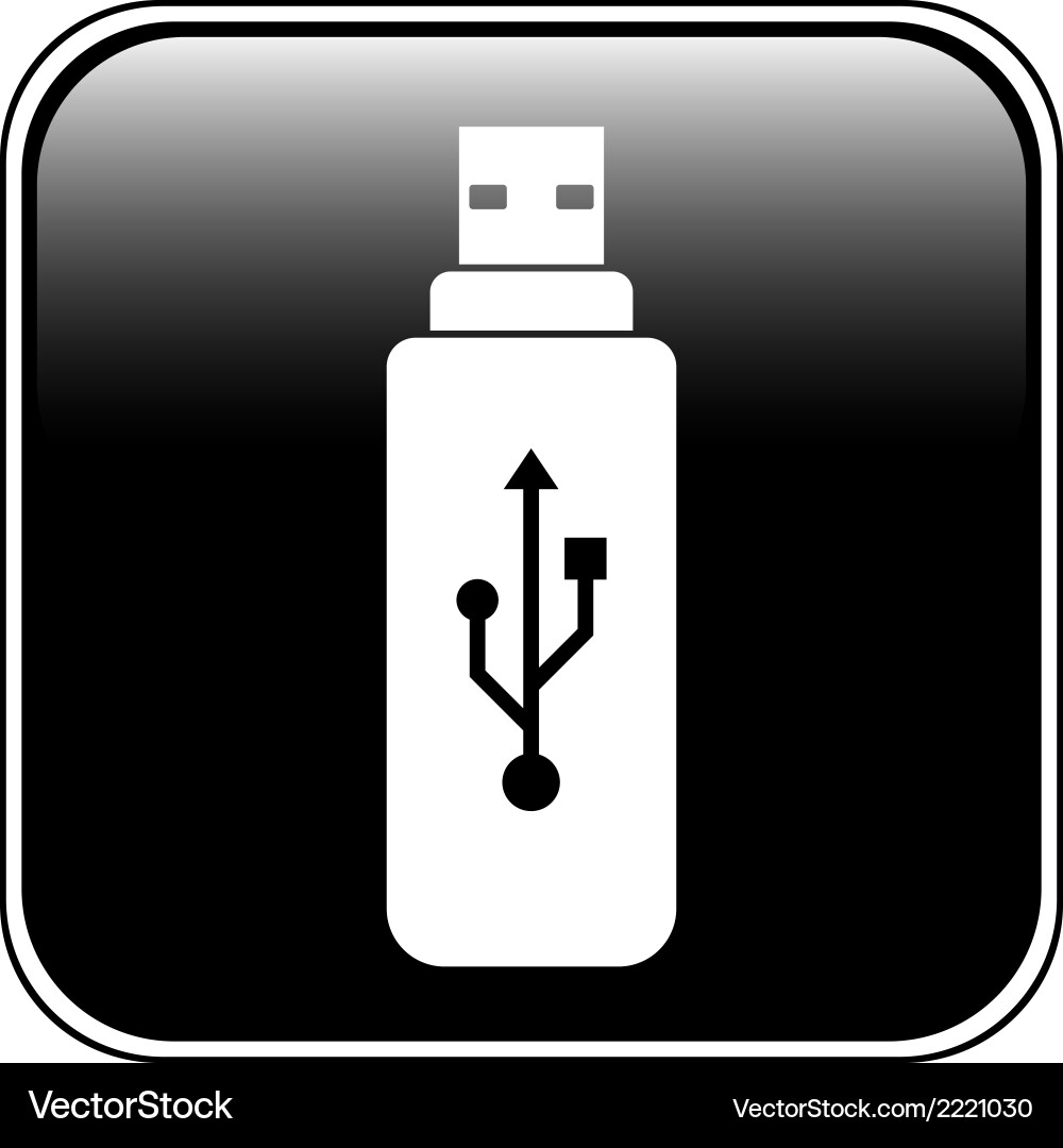 Usb flash button Vector Image