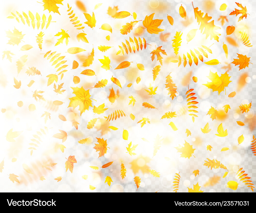Effect of autumn falling leaves layer with shallow vector image