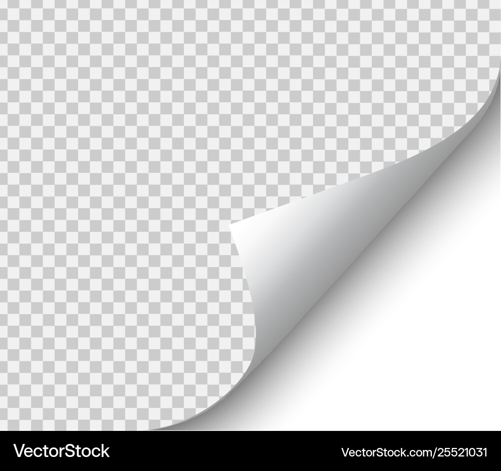 Page curl with shadow on blank sheet paper Page curl with shadow on blank sheet paper vector image