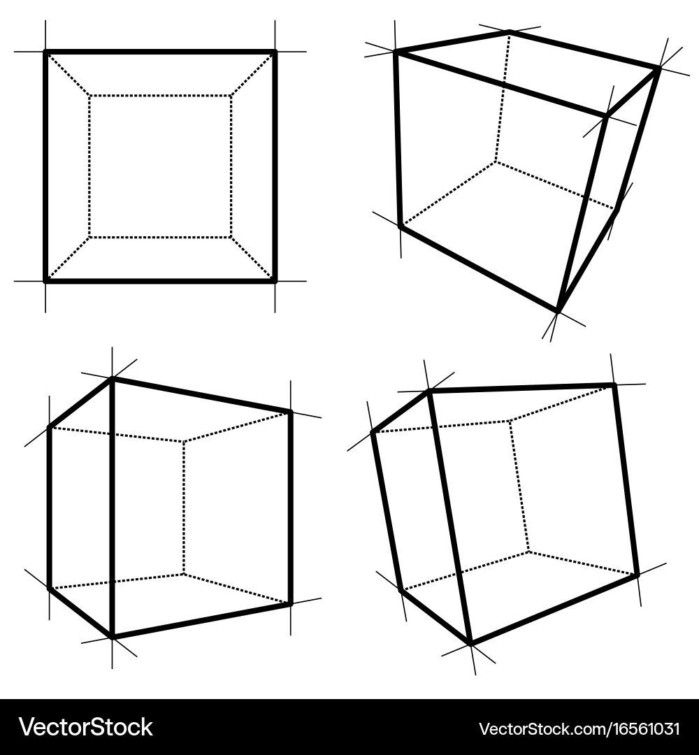 Wireframe Cube Renderings Vector Image