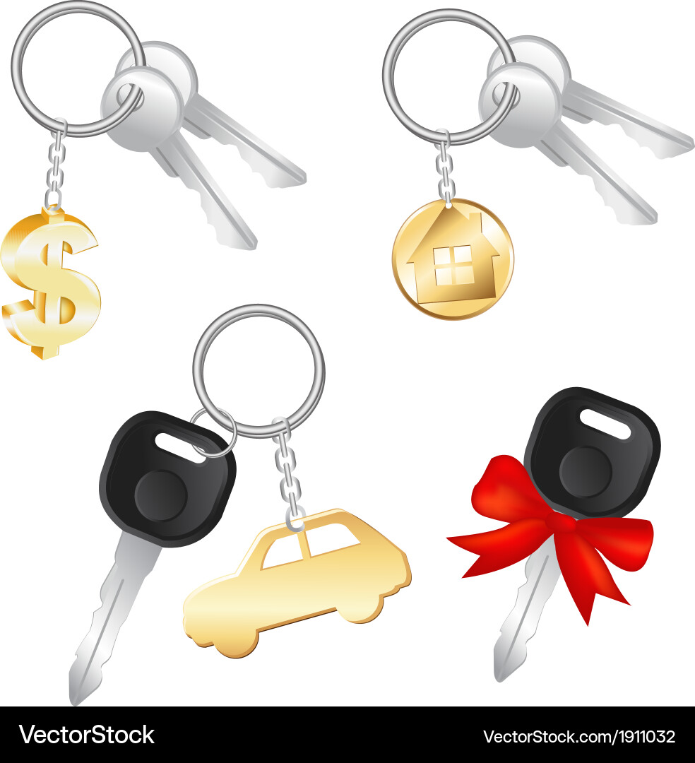Set of keys vector image