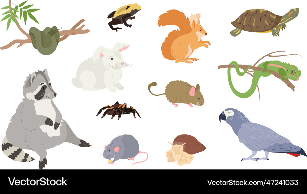 Exotic pets set Royalty Free Vector Image - VectorStock