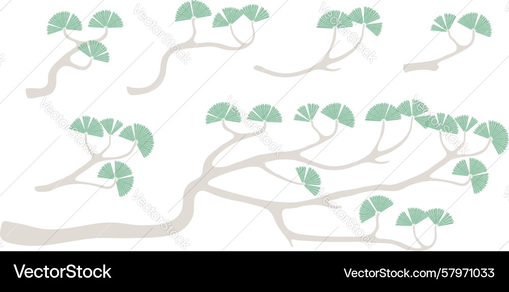 Pine tree branches isolated elements collection Vector Image
