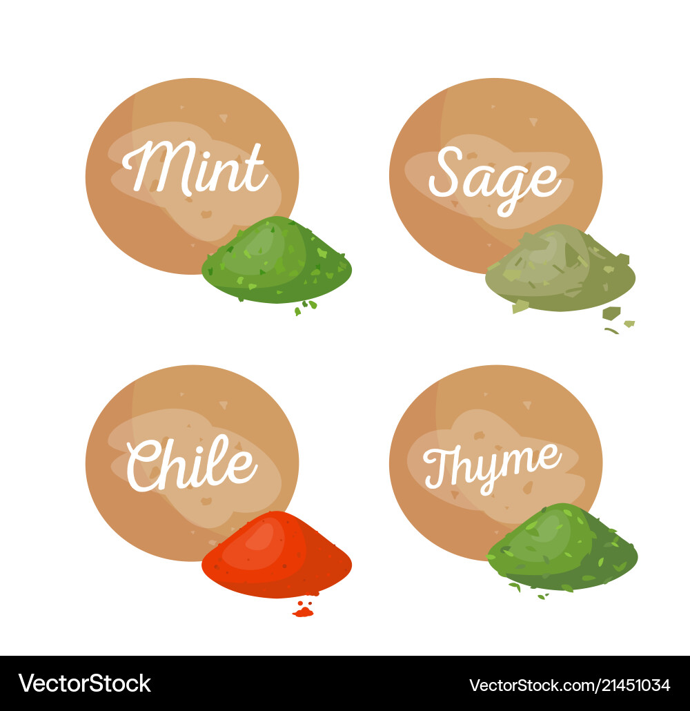 Mint and sage collection Vector Image