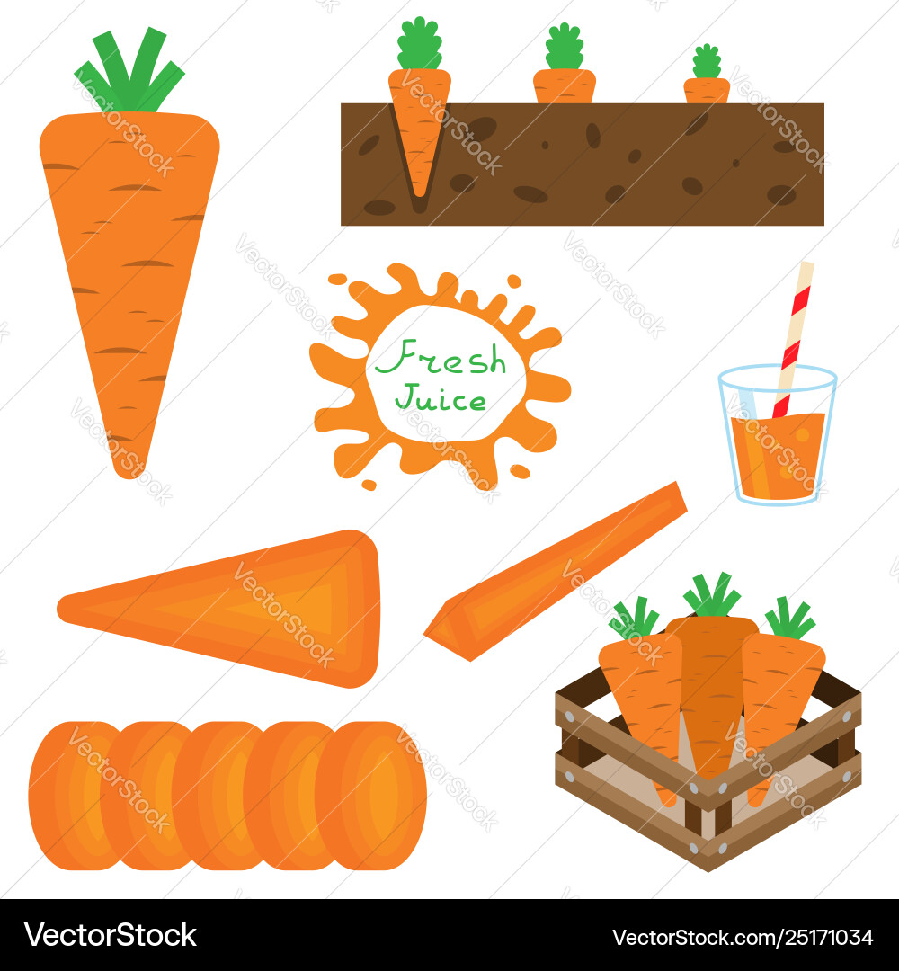 Set carrots in flat style Set carrots in flat style vector image
