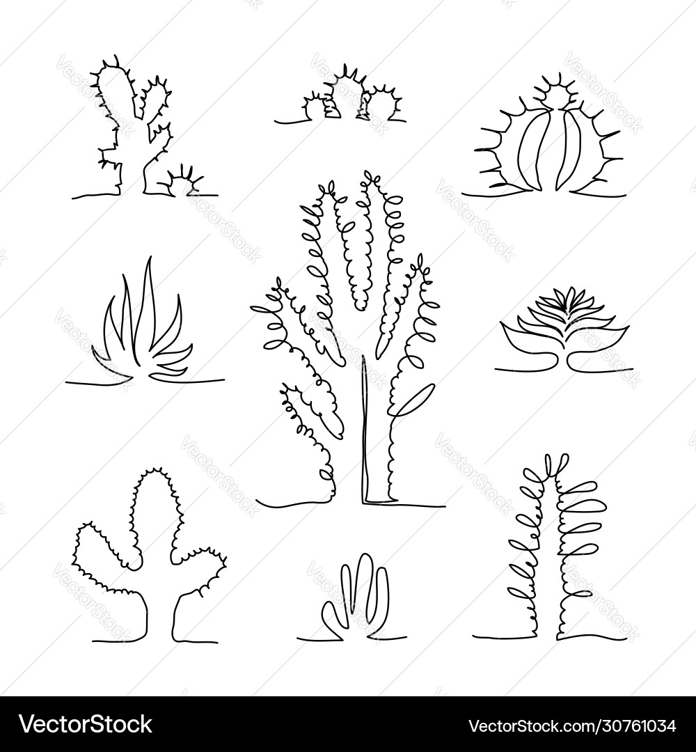 Set continuous line drawing sketch cactus Set continuous line drawing sketch cactus vector image