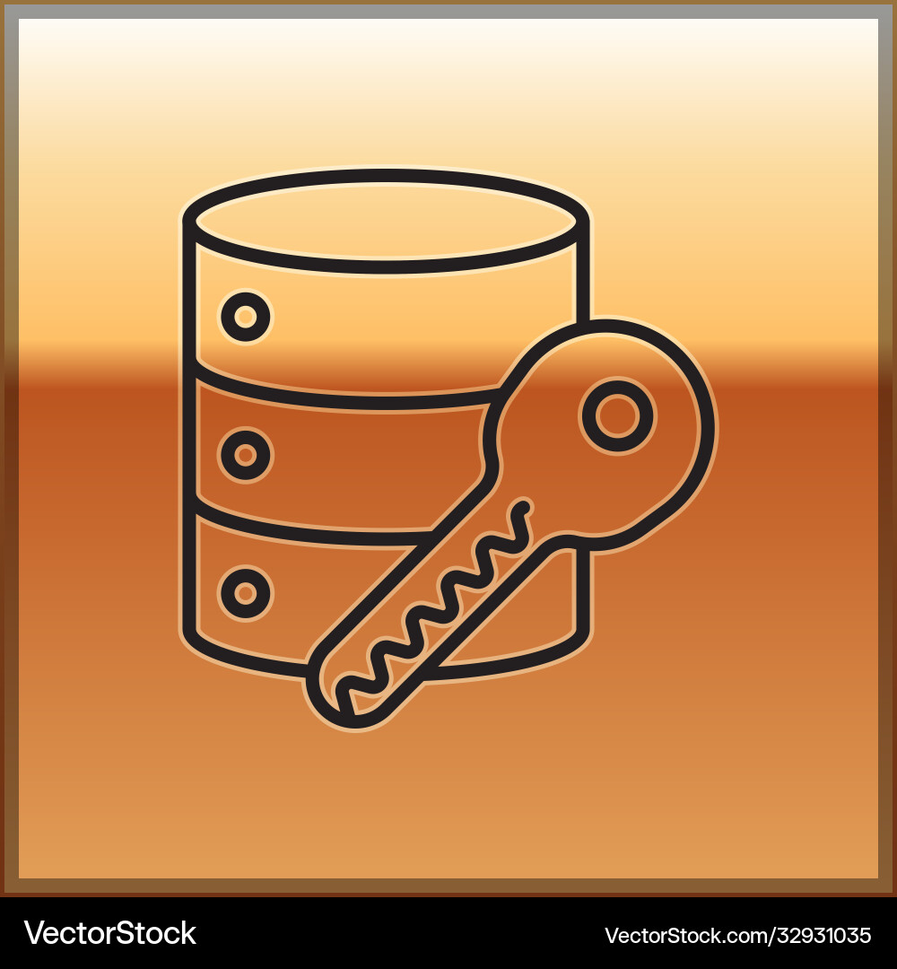 Black line server security with key icon isolated Black line server security with key icon isolated Vector Image