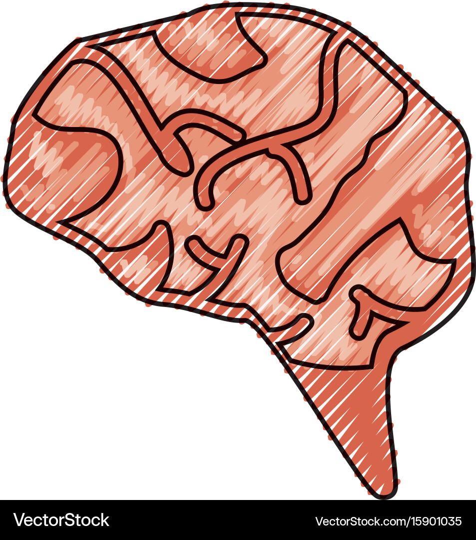 Human brain symbol Royalty Free Vector Image - VectorStock