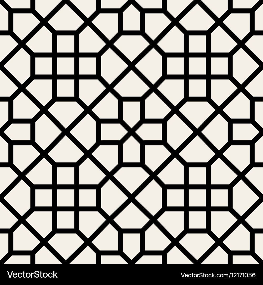 Black and White Geometric Pattern vector image