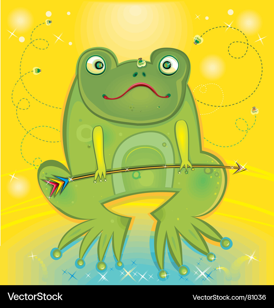 Colorful Frog with Sparkling Background Vector Image