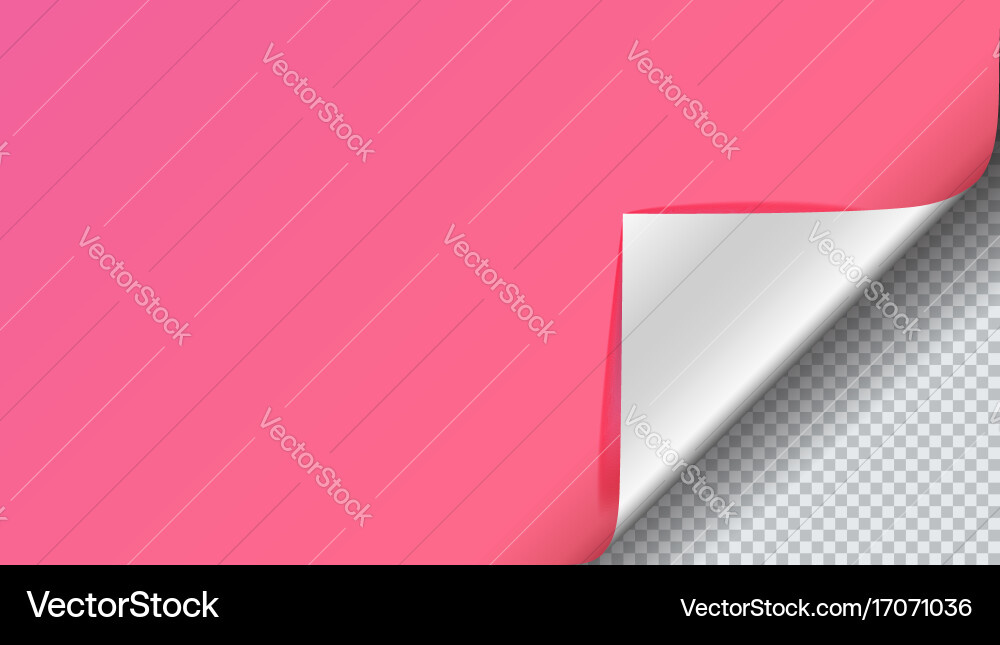 Page curl with shadow on blank sheet of paper Vector Image