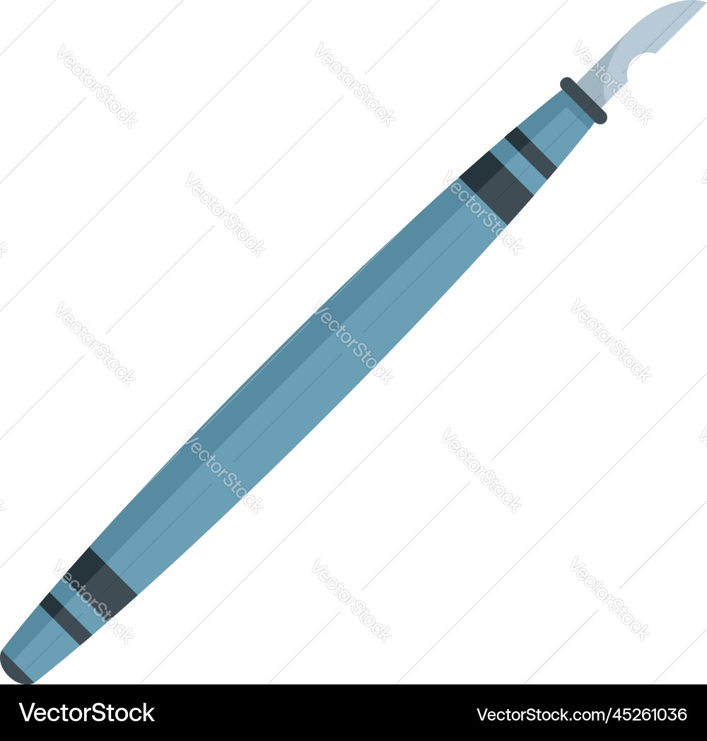Pen calligraphy icon flat nib tool Pen calligraphy icon flat nib tool vector image