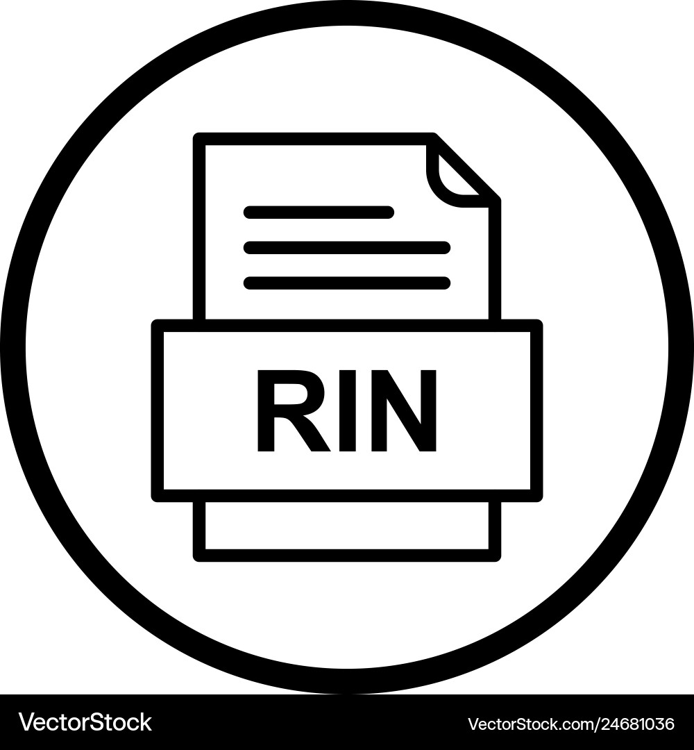 Rin file document icon vector image