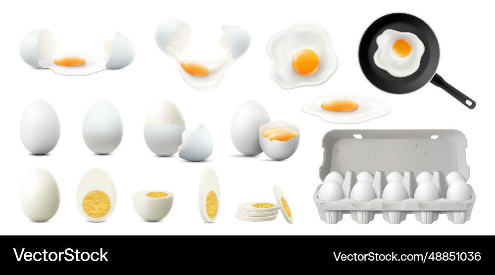 Set of whole half sliced and broken eggs raw Set of whole half sliced and broken eggs raw vector image