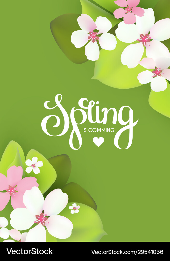 Spring background with flowers and lettering Spring background with flowers and lettering vector image