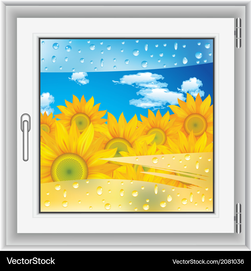 Sunlit Window View vector image