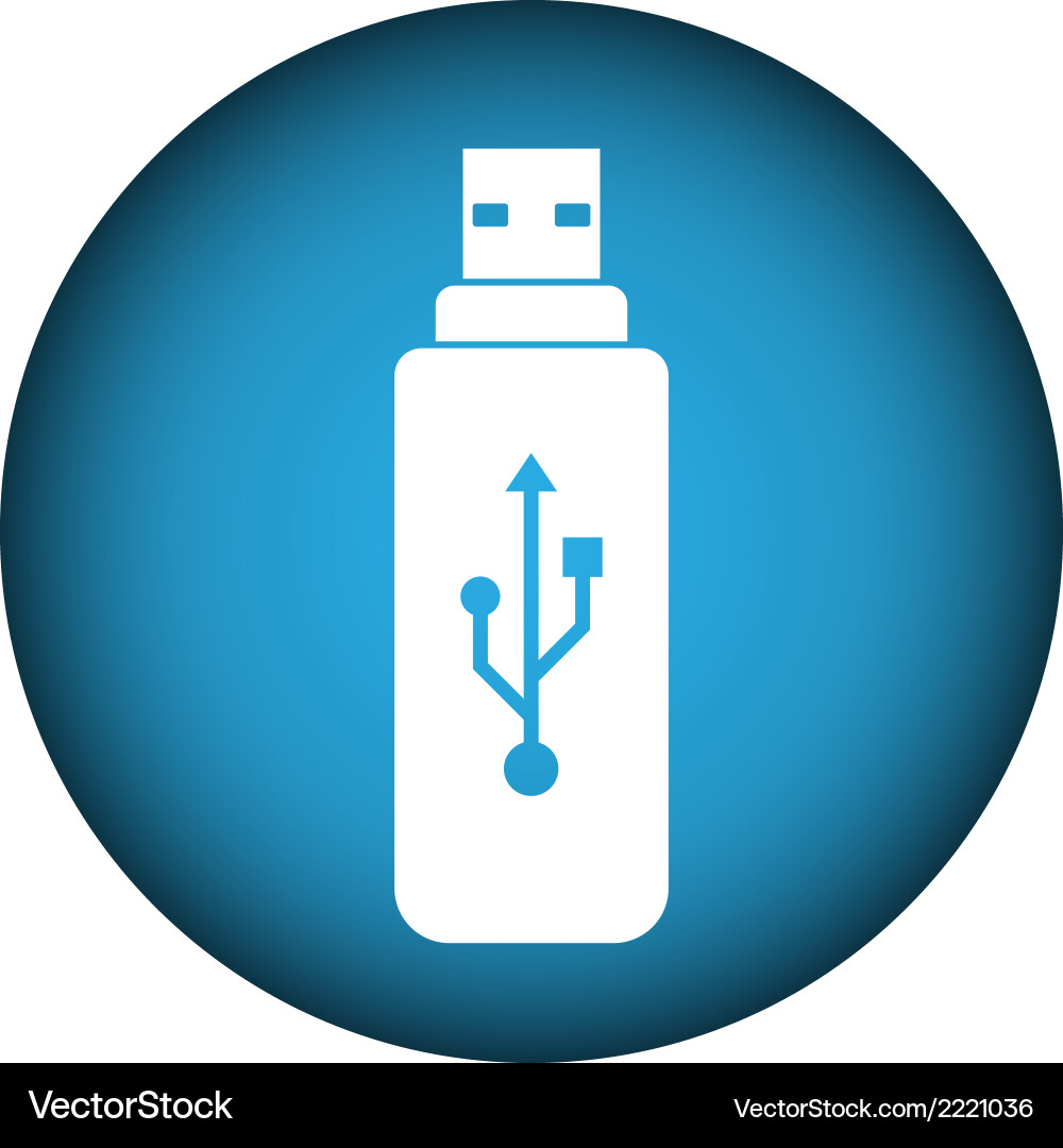 Usb flash button Vector Image