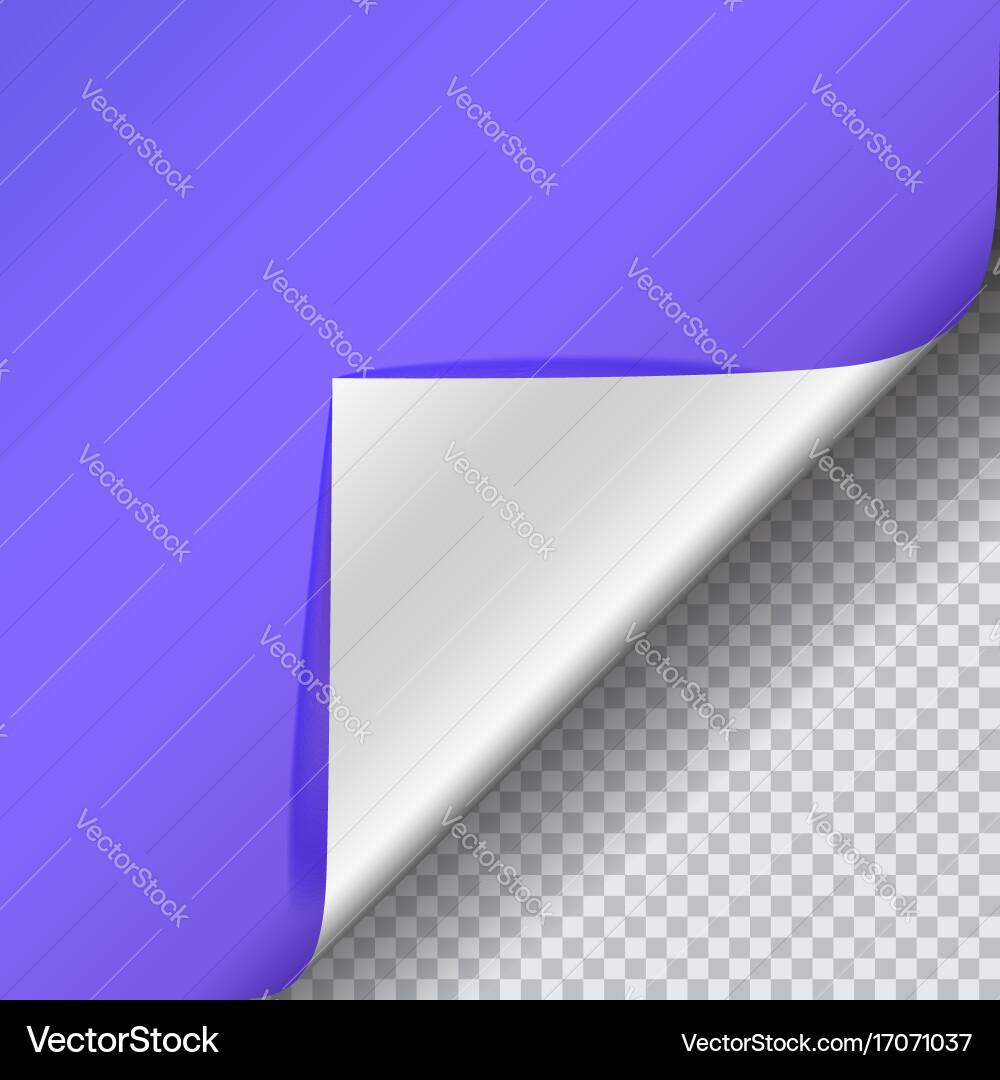 Page curl with shadow on blank sheet of paper Vector Image