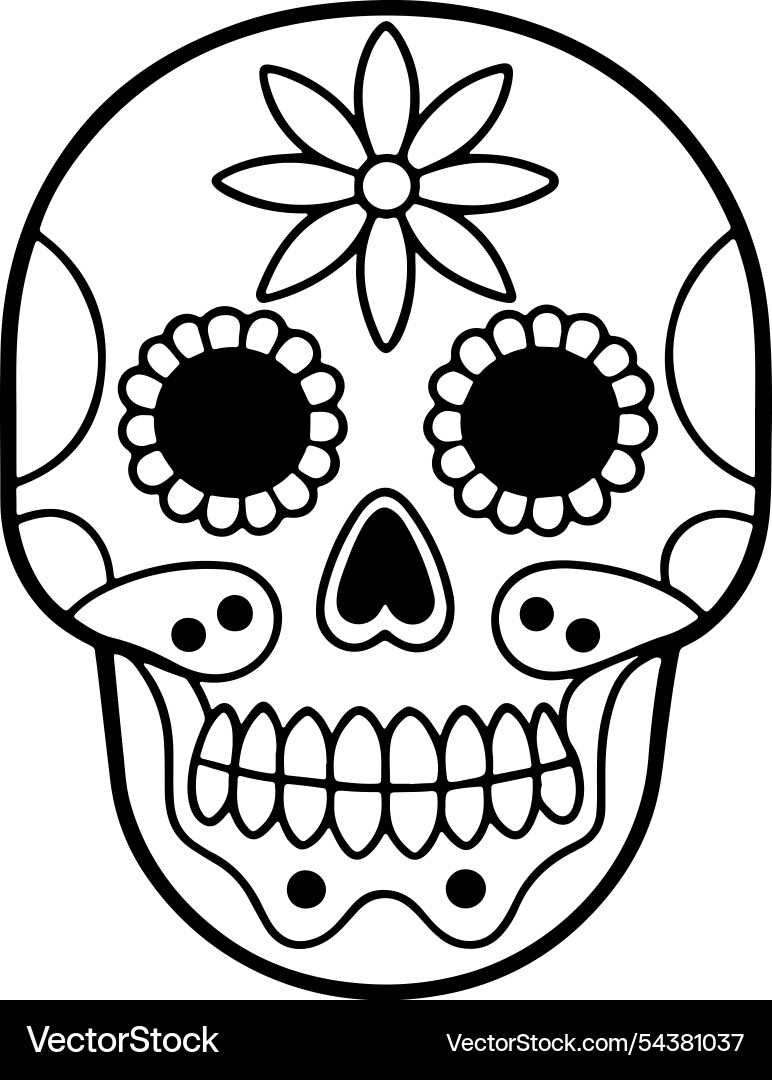 Skull with intricate patterns Skull with intricate patterns Vector Image