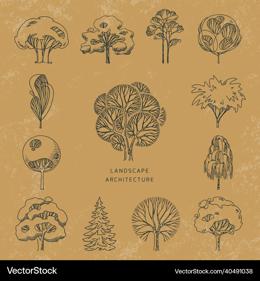 A set of different types trees front view A set of different types trees front view vector image