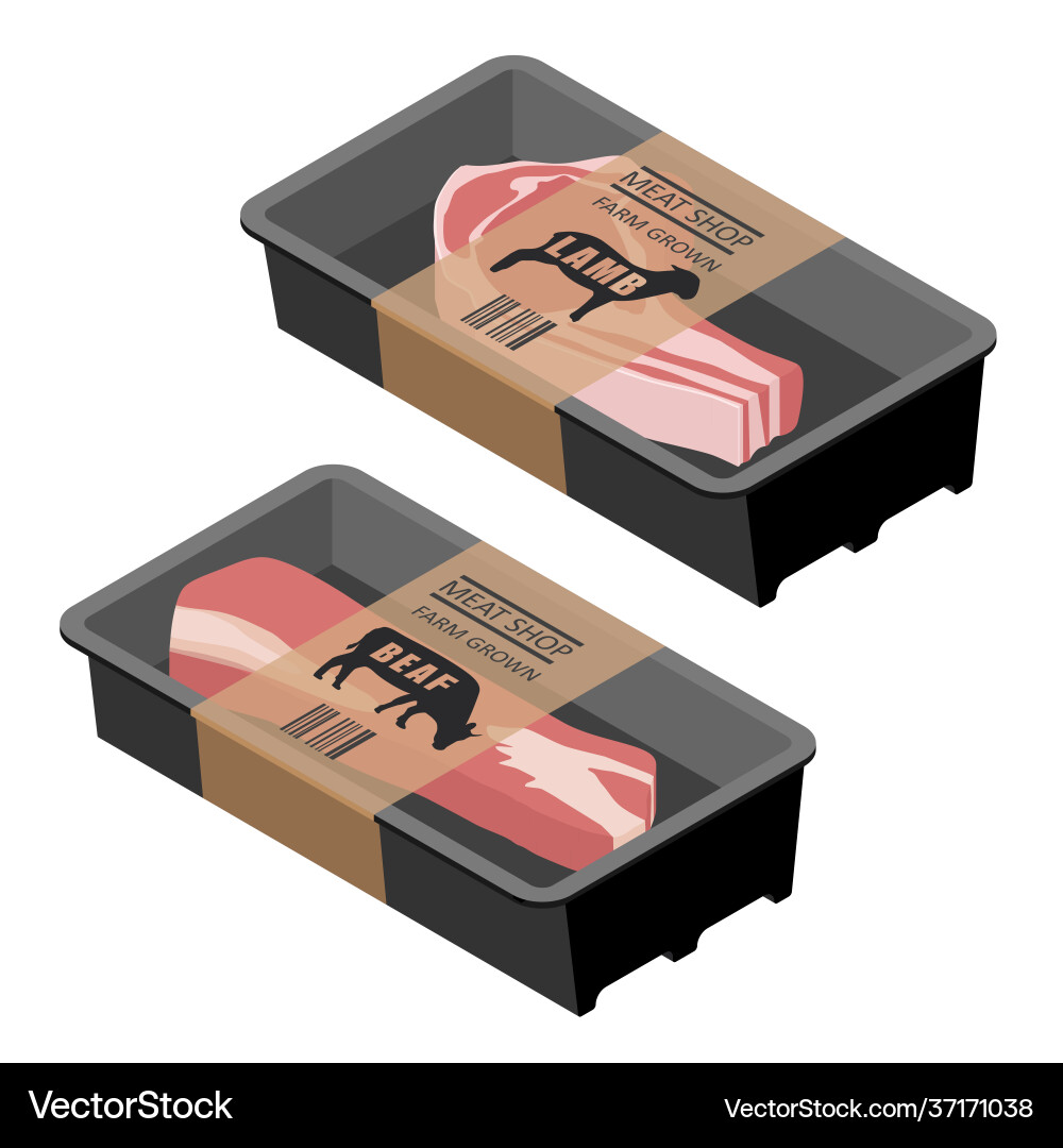Web Web vector image