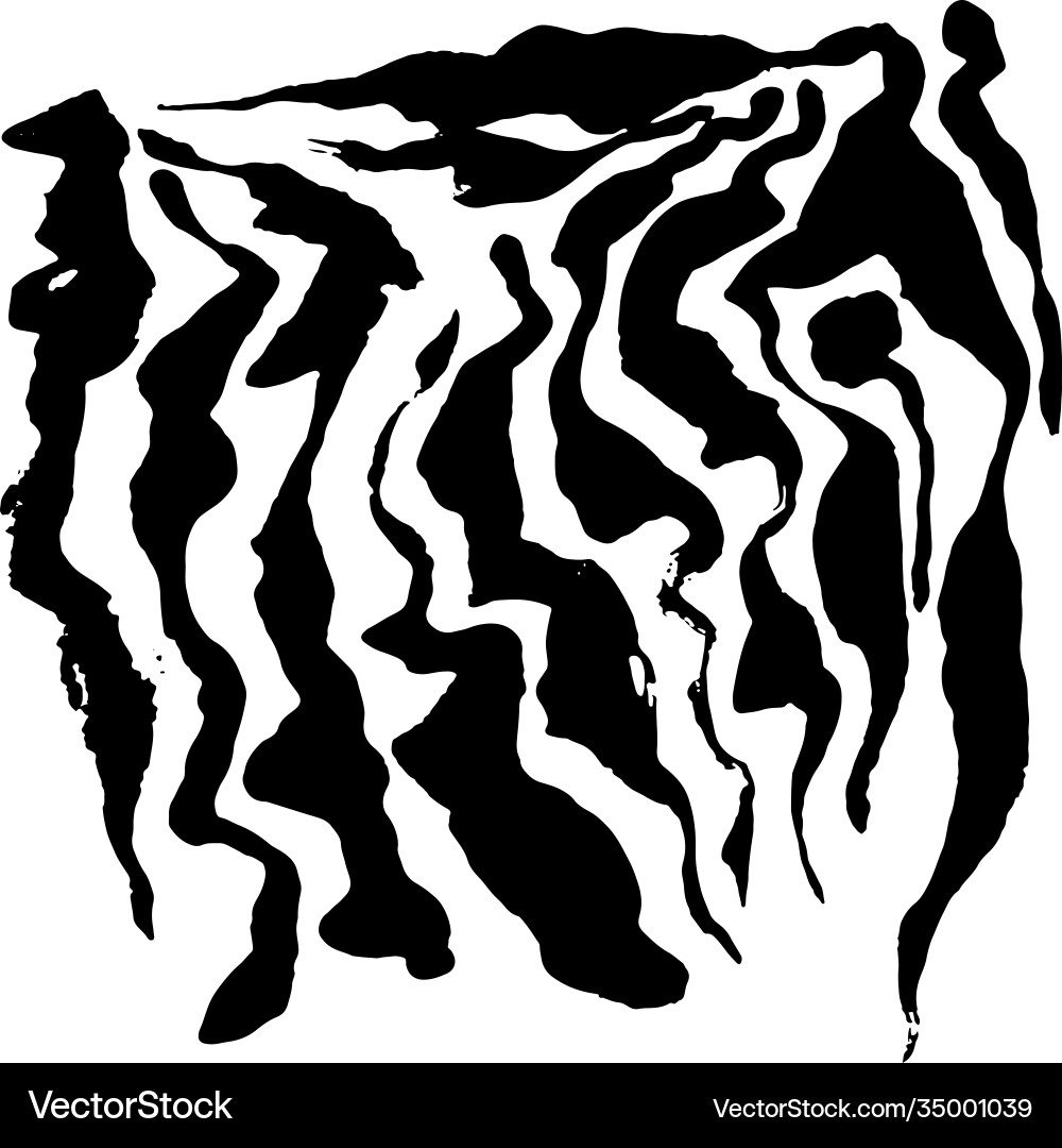 Zebra print pattern white Vector Image