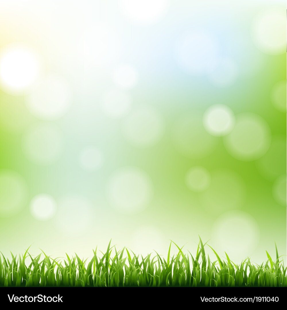 Grass Border with Bokeh Vector Image