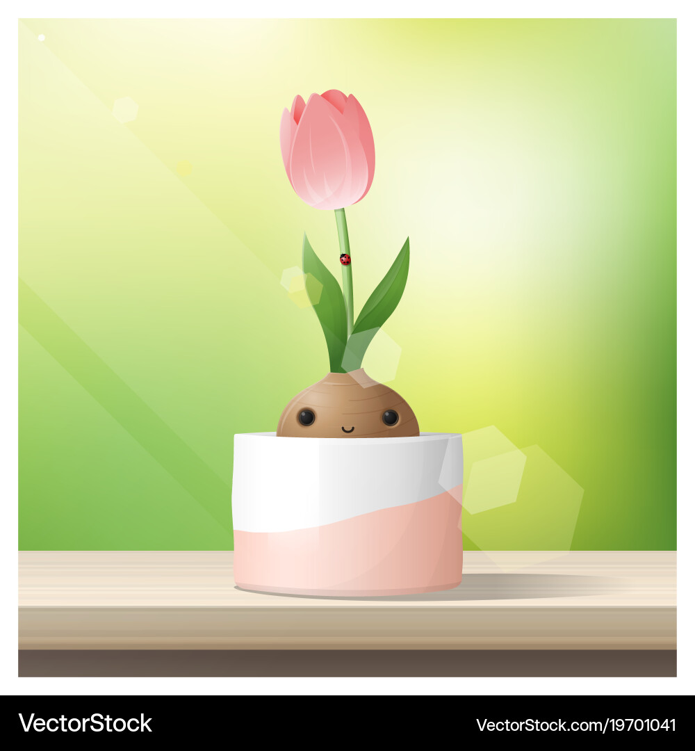 Hello spring background with flower tulip Vector Image