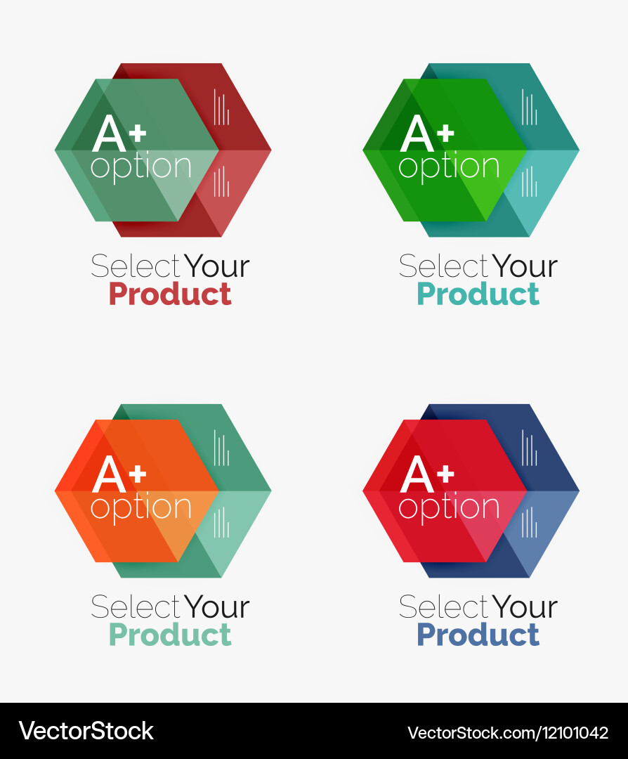 Set of infographic templates with text and options vector image