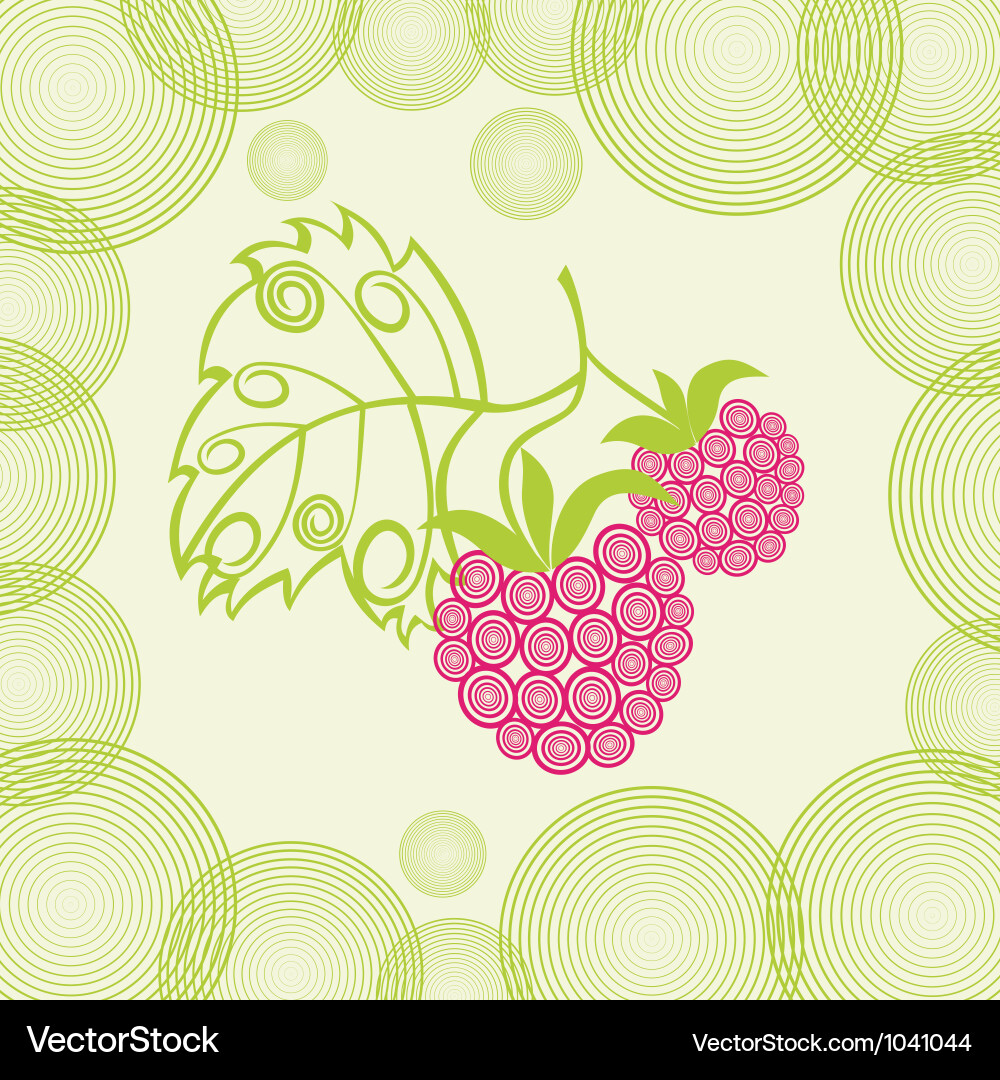 Raspberry background Vector Image