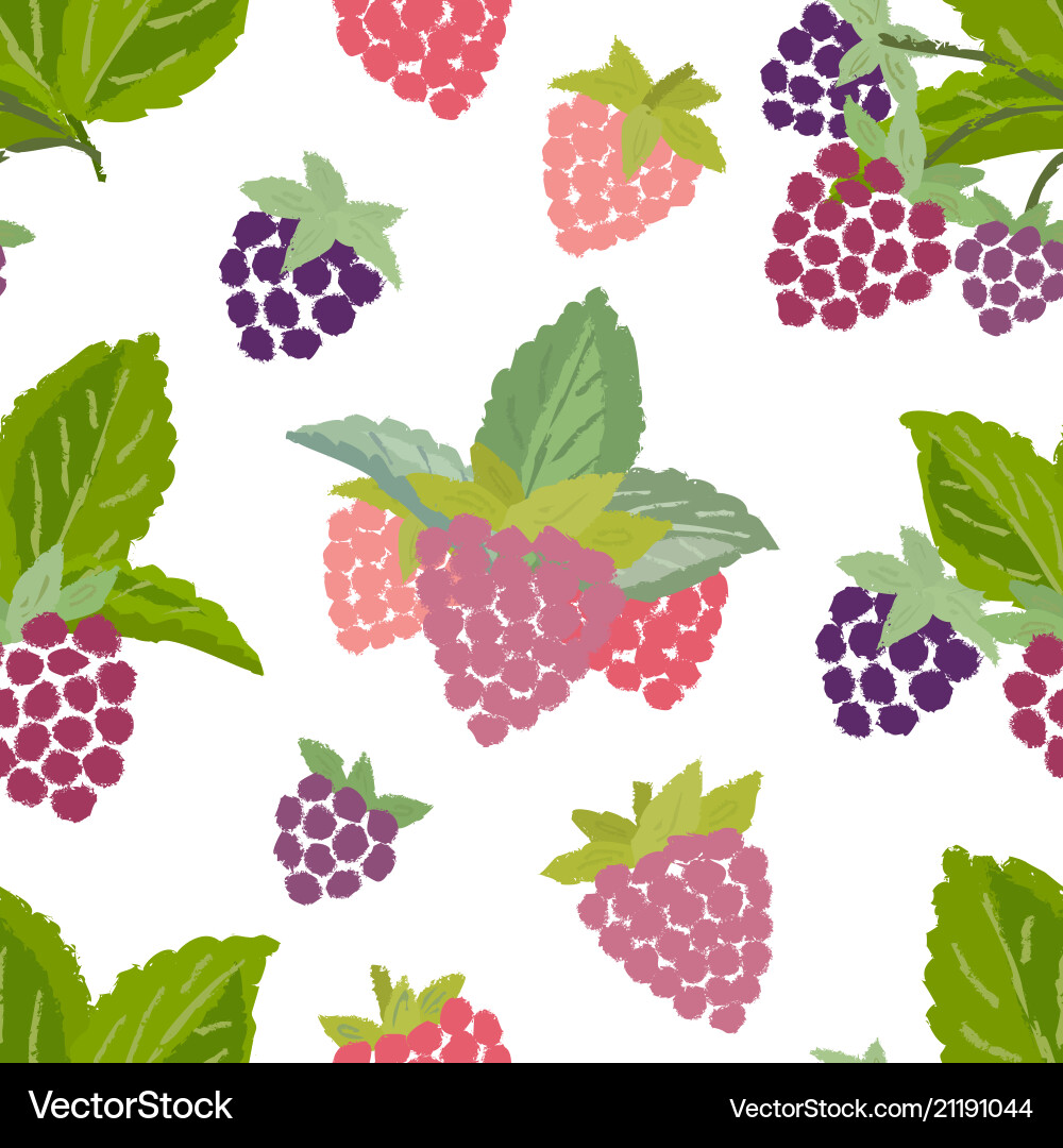 Seamless pattern of raspberry Vector Image