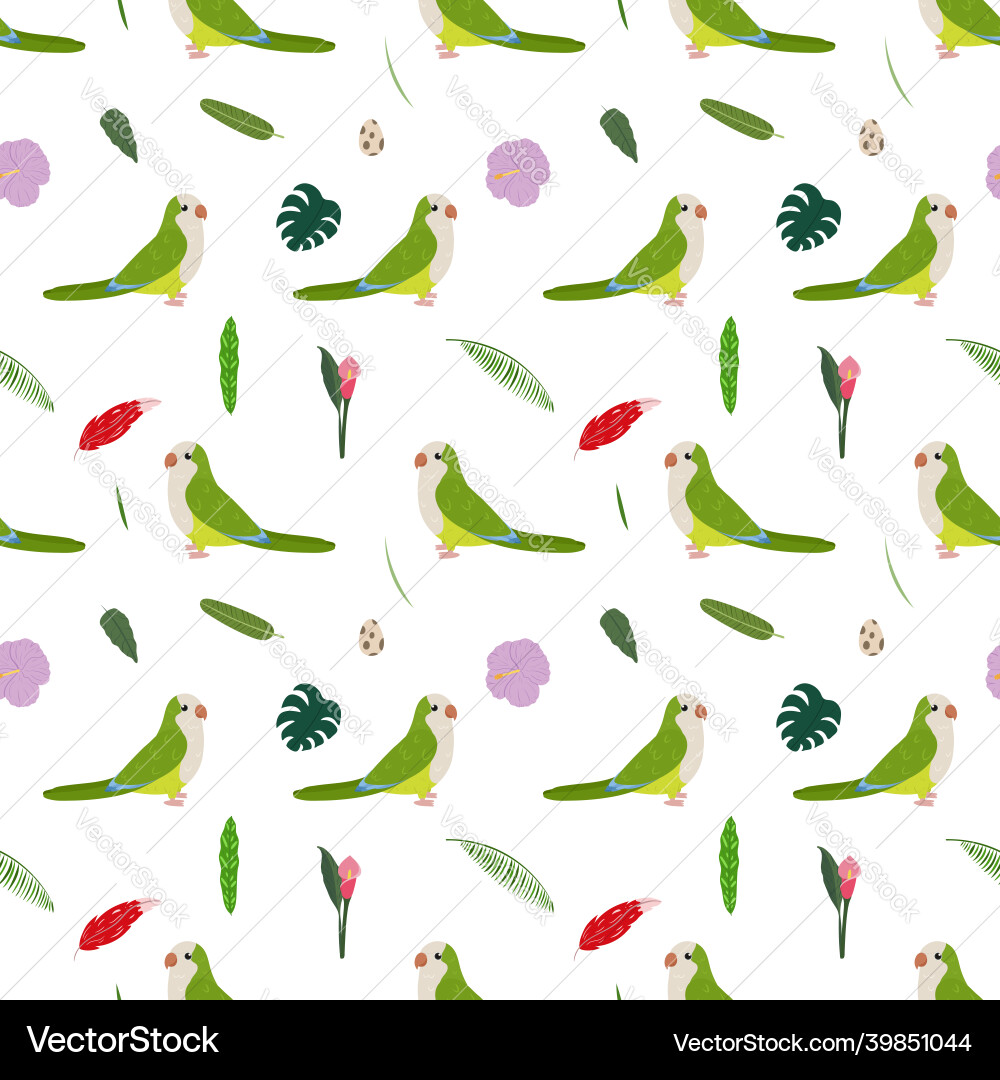 Seamless pattern with monk parakeet quaker Seamless pattern with monk parakeet quaker vector image