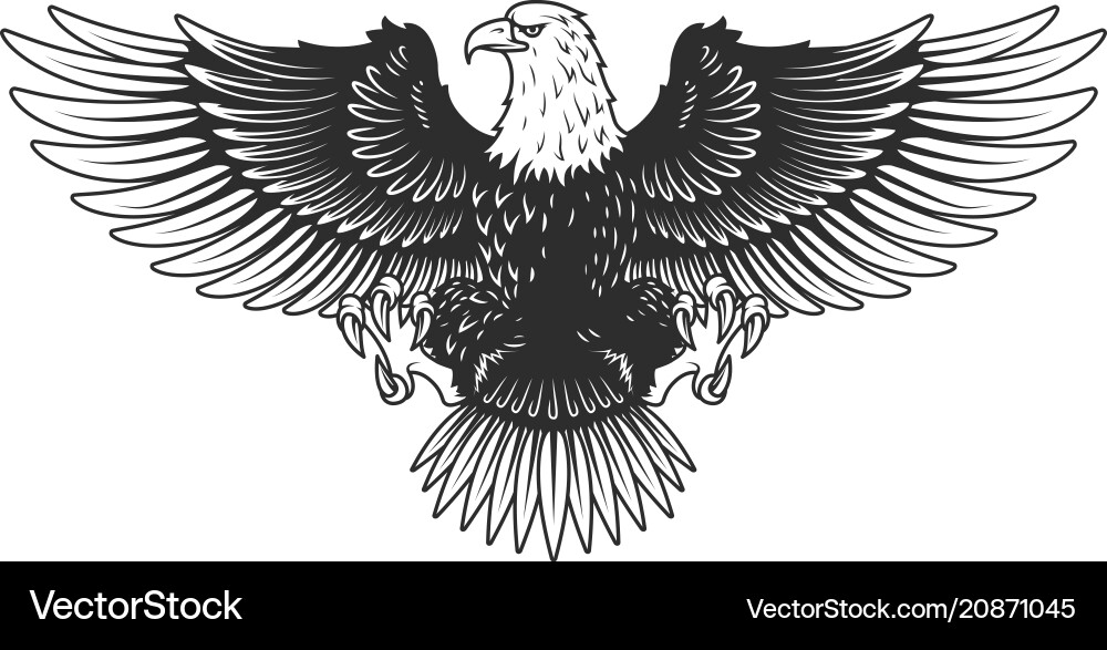 Spread Eagle Vector Images (über 2,700)