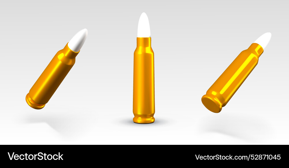 Long metal cartridge with bullet ammunition Vector Image
