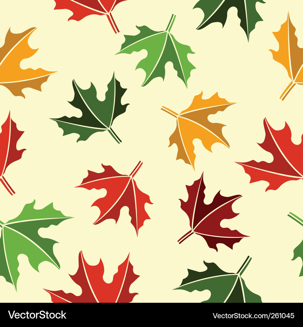 Maple leaves pattern Vector Image