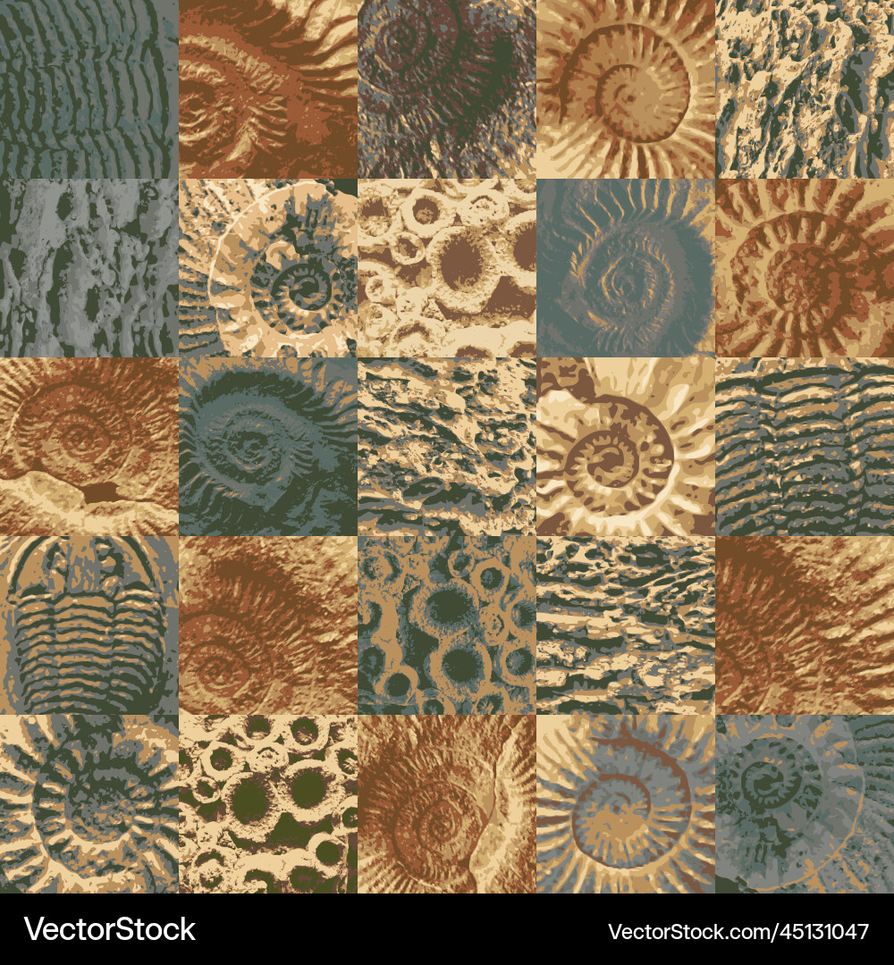 Ancient Seashell Fossil Pattern vector image