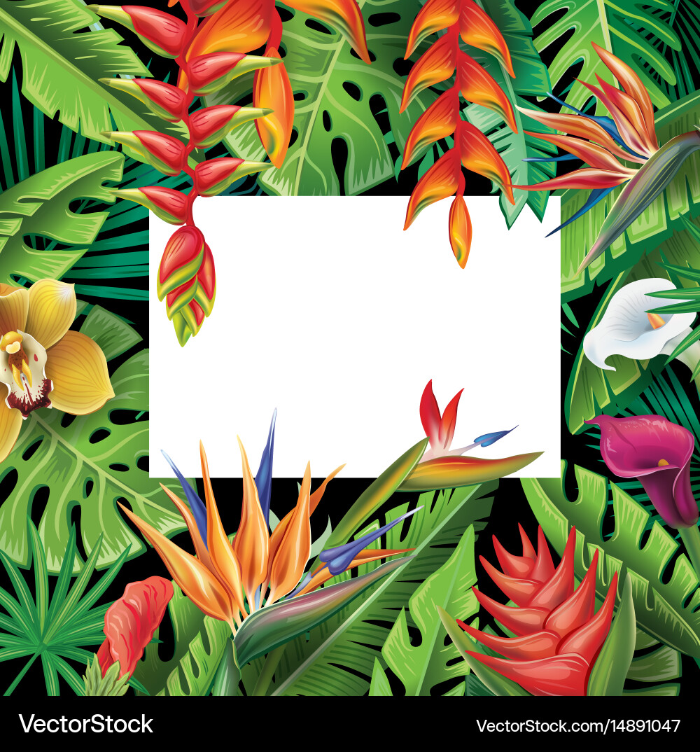 Tropical Flowers & Leaves Frame Vector Image