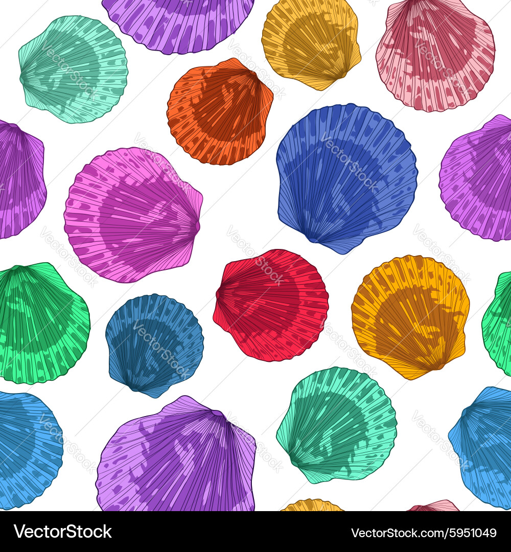 Colorful Seashell Pattern vector image