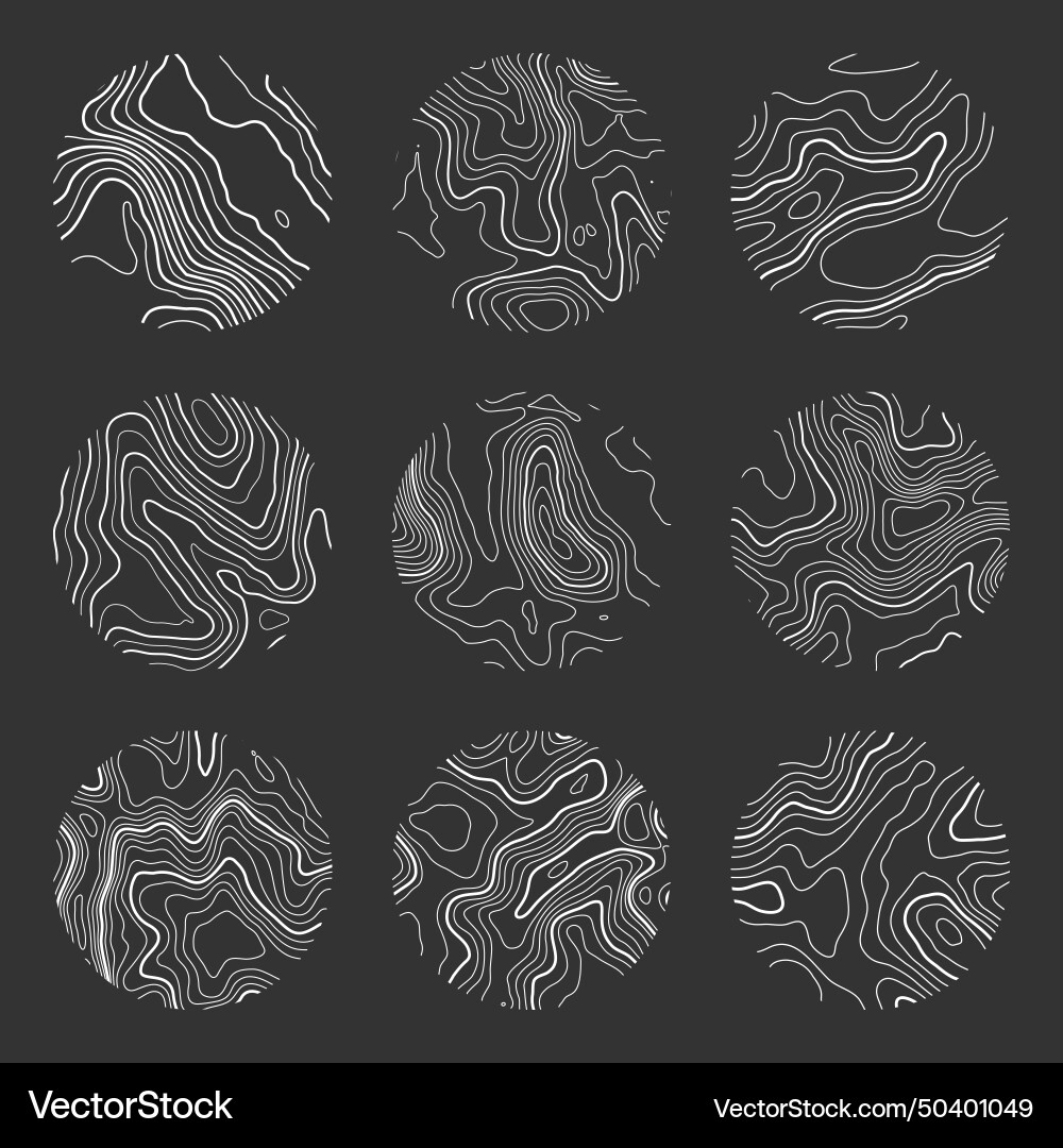 Topographic map with contour lines geographic Topographic map with contour lines geographic vector image