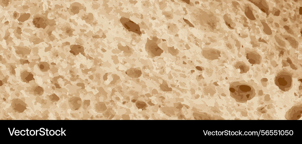 Bread slice macro texture baked dough pattern Bread slice macro texture baked dough pattern vector image