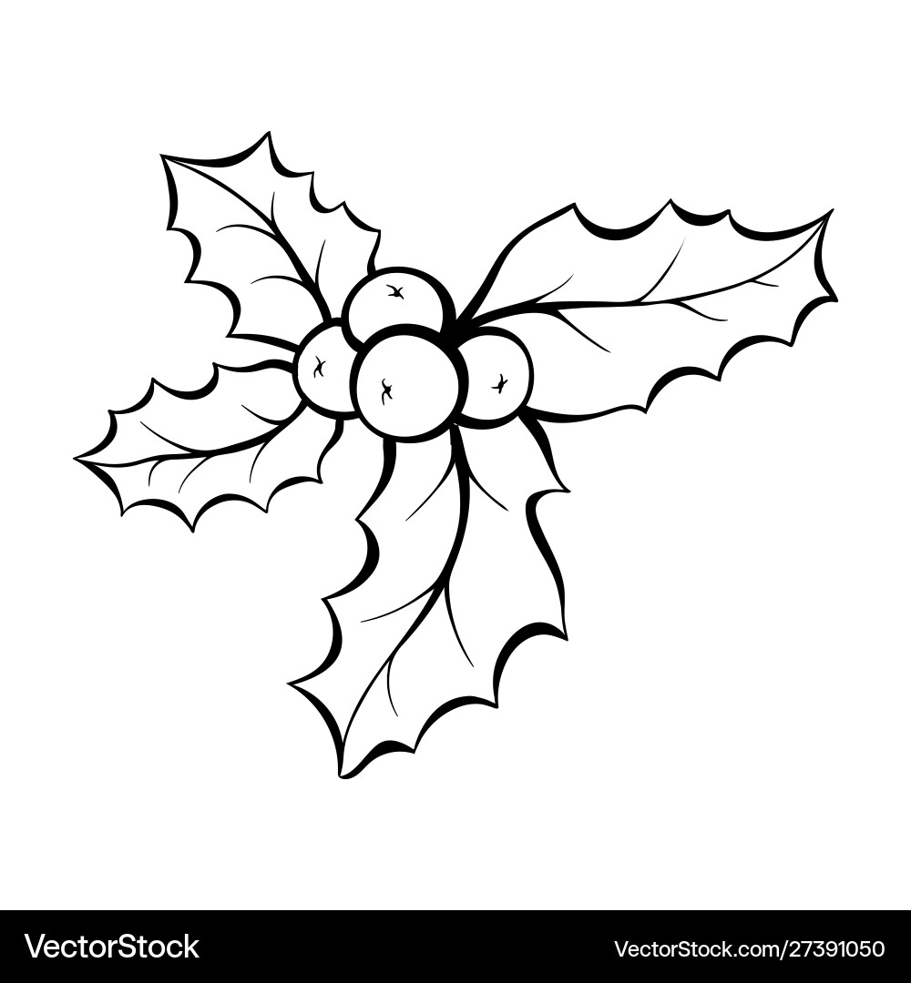 Christmas mistletoe coloring book Christmas mistletoe coloring book vector image