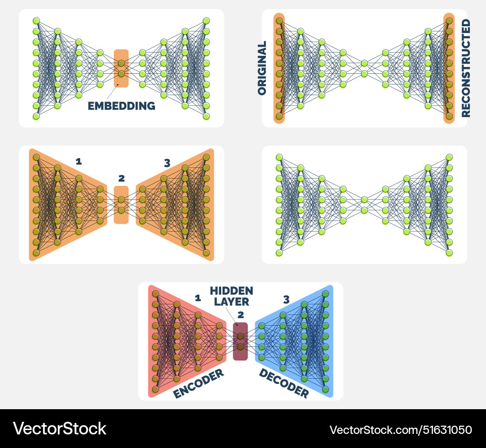 Comprehensive autoencoder neural network guide Comprehensive autoencoder neural network guide vector image