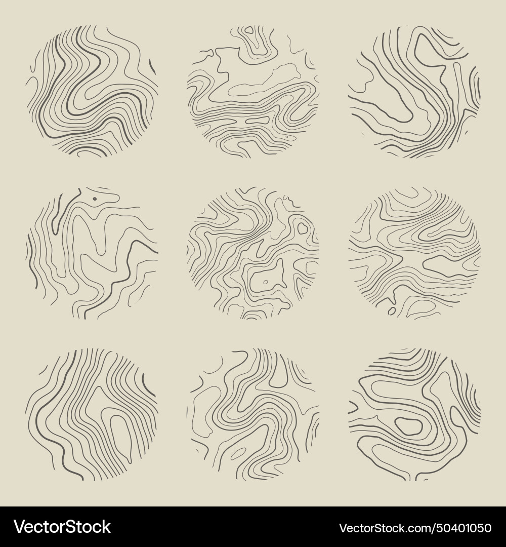 Topographic map with contour lines geographic Vector Image