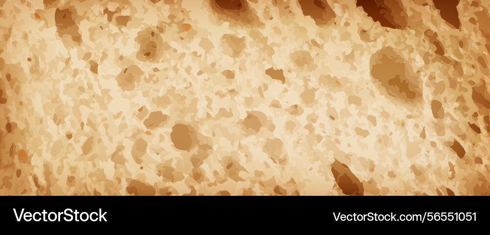 Bread slice macro texture baked dough pattern Vector Image