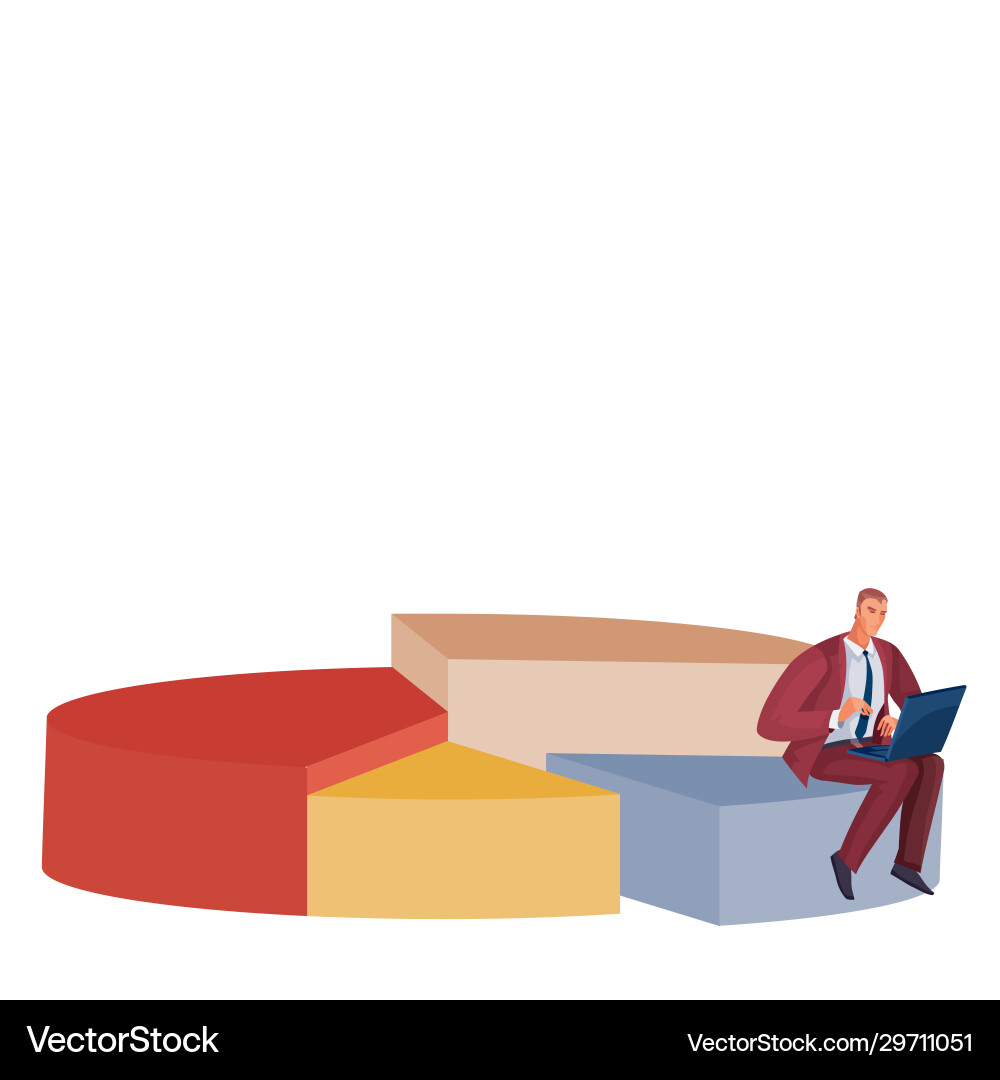 Pie chart different volume and color together Vector Image