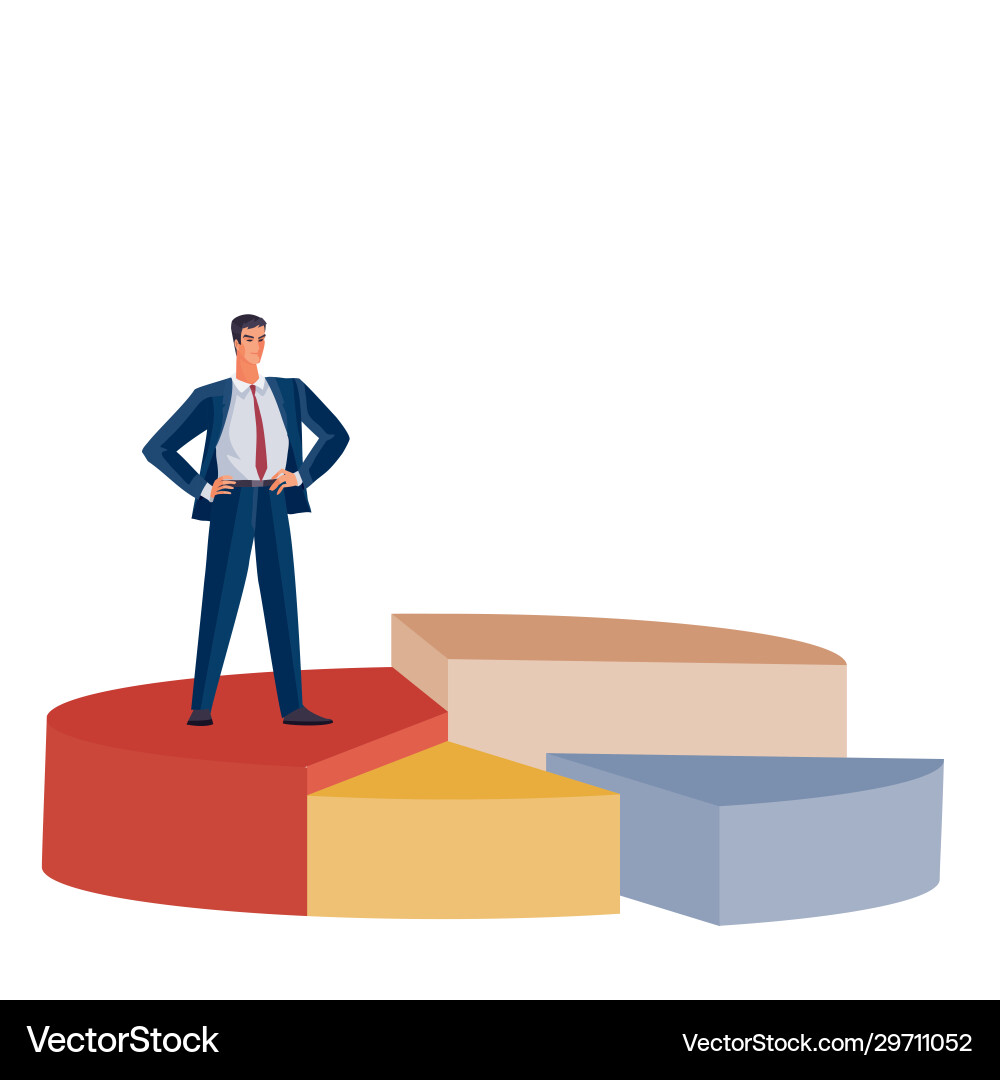 Pie chart different volume and color together Vector Image