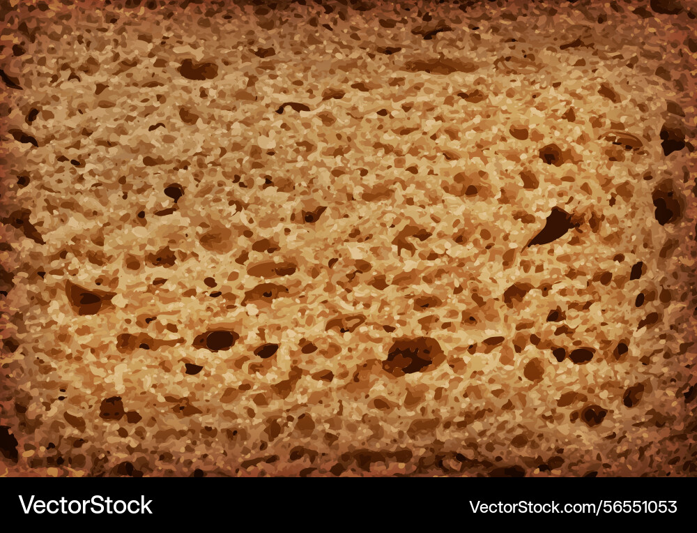 Bread slice macro texture baked dough pattern Vector Image