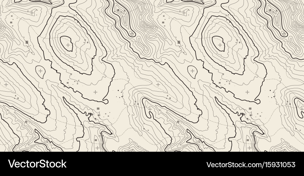 Seamless pattern topographic map background Vector Image