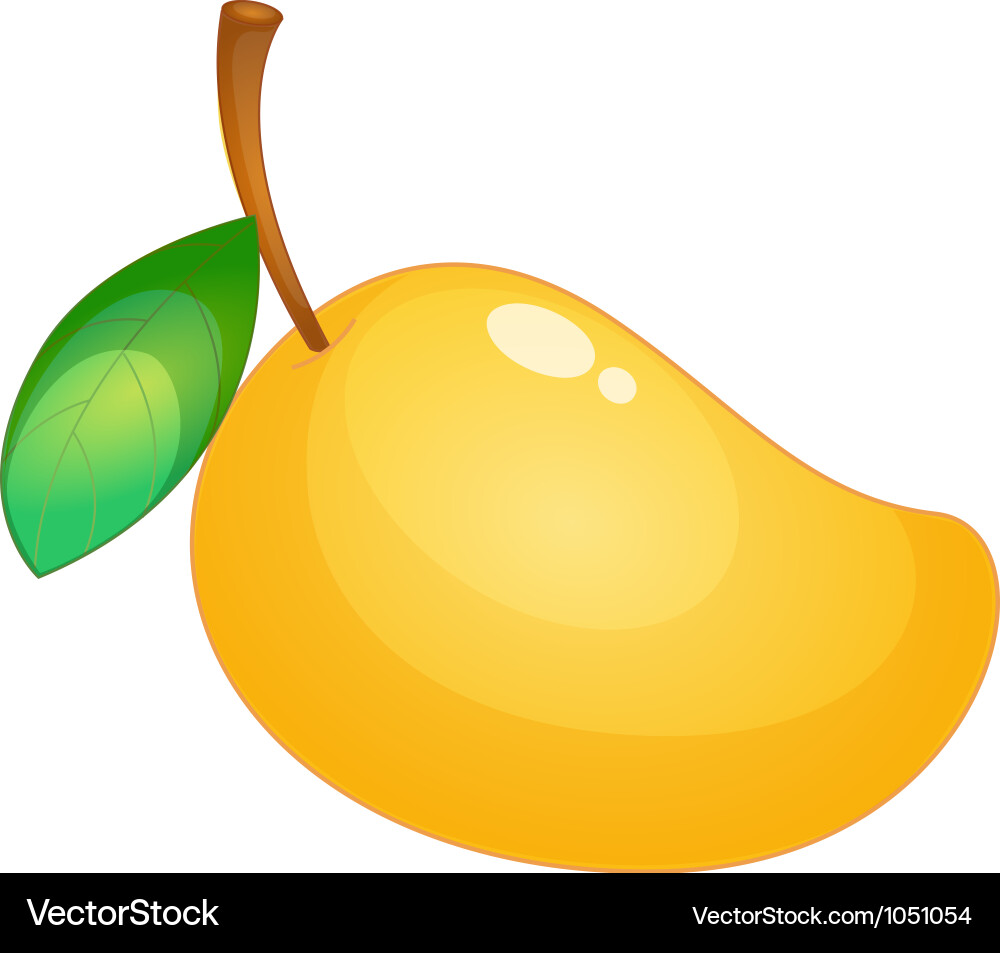 Ripe Mango Fruit Royalty Free Vector Image - VectorStock